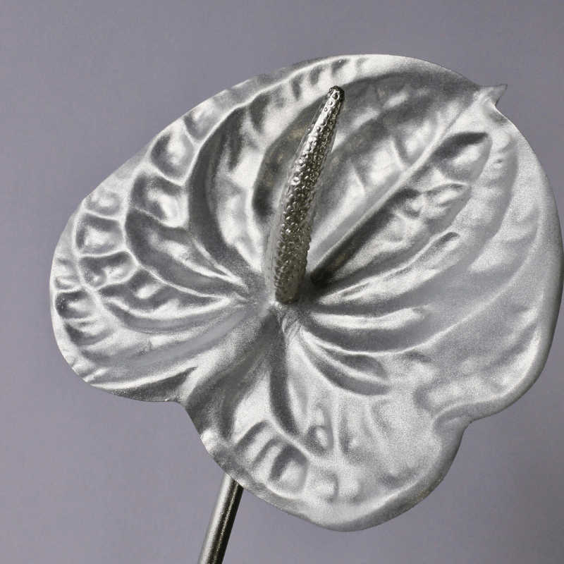 Everlasting Chrome Anthurium